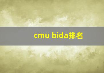 cmu bida排名